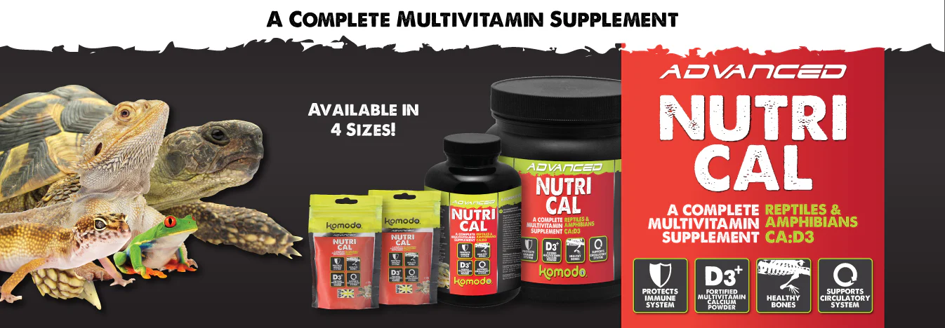 Exotic Style for Cold-Blooded Icons